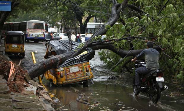 heavyrainslashedinhyderabadtoday;treesuprooted